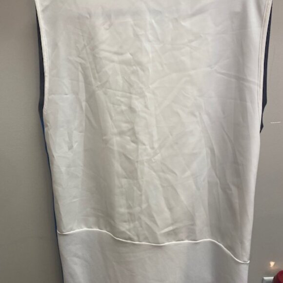 Zara: Color Block Shift Dress - Picture 3 of 3